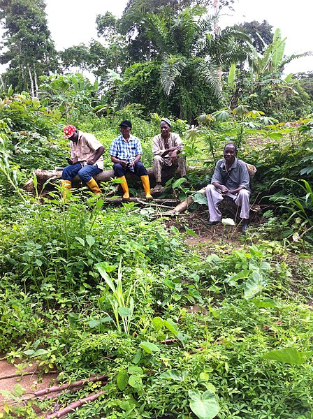 File:Food crop production team.jpg