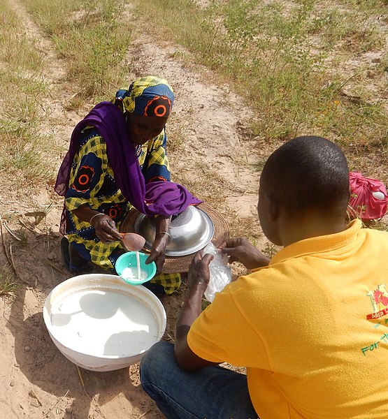 File:African People at Work-Fulani Woman Selling Fresh Milk 2.jpg