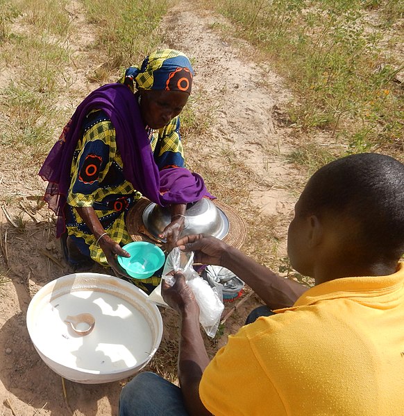 File:African People at Work-Fulani Woman Selling Fresh Milk.jpg