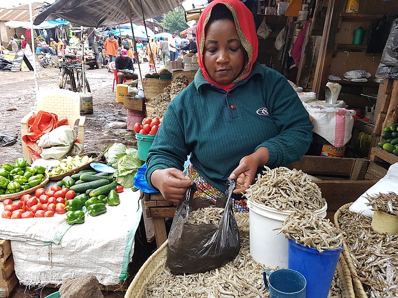 File:Dry fish seller.jpg